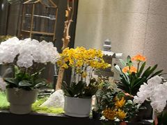 -王府茶楼茶宴·创意菜(朝阳公园店)