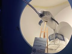 -重庆欢乐海底世界