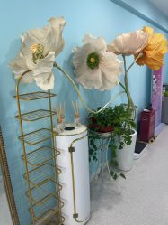 -斐尔国际皮肤管理中心