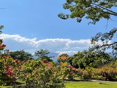 -中国科学院西双版纳热带植物园