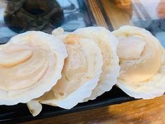 扇贝-丽江庭院之爱在路上(西单店)