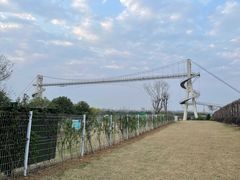 -武汉紫薇都市田园