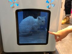 -宠爱国际动物医院·消化内科·心肾内科·ISFM猫友好(望京店)