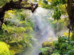 -Chom Cafe and Restaurant