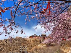 -辛安庄鸡鸣山景区