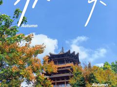 -杭州半山国家森林公园