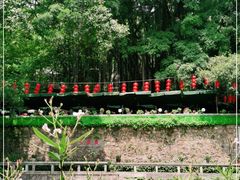 -广州市白云山风景名胜区