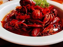 金汤小龙虾-戴记龙虾(天泽街店)
