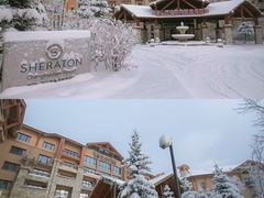 -长白山万达喜来登度假酒店