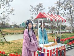 -荷兰花海