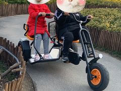 -季高兔窝窝亲子园(上海薰衣草公园店)