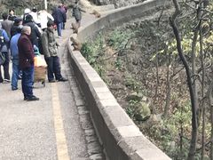 -黔灵山公园-南门售票处