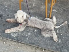 -后海村