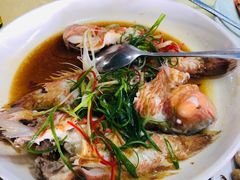 清蒸马头鱼-沙田台山海鲜·酣客酒窖