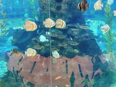 -鸿通城购物中心