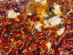 -潇湘码头·鲜湘菜(常营店)