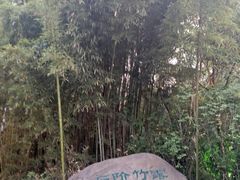 -苏州河梦清园环保主题公园