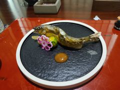 -虎吟こぎん