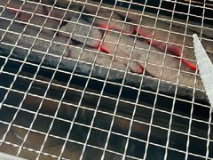 -张记烤羊腿(北花园店)