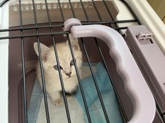 -芭比堂动物医院·CT·微创中心(新顺分院)