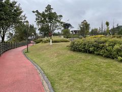 -铁山坪森林公园