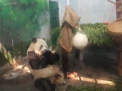 -无锡动物园·太湖欢乐园