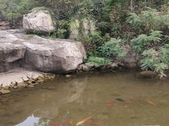 -妈妈手(山大总店)
