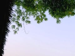 -咸宁万豪温泉谷度假区