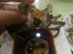 -红灯笼龙凤饭店(宁波老字号店)