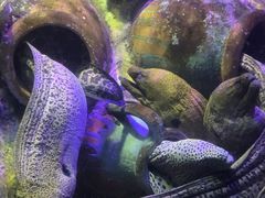 -太平洋海底世界