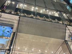 -优衣库(银座店)