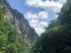 -青峰峡国家森林公园