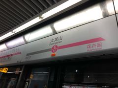-大龙山(地铁站)