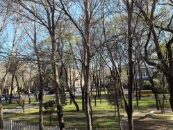 -皇家月府月子中心(沈阳店)