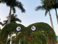 -东南花都花博园