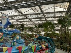 -南宫五洲植物乐园