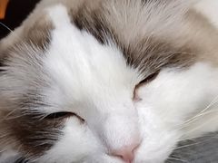 -白兔子密室(长寿路店)