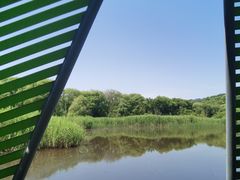 -西湖风景区-江洋畈生态公园