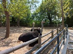 -大连森林动物园