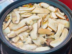 -蘑统田下·野生菌火锅