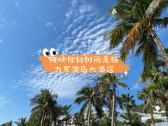 -东澳岛