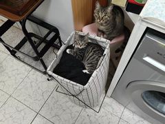 -姚记炒肝店(鼓楼店)