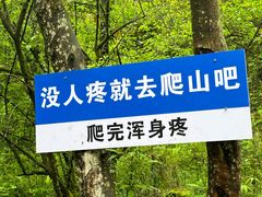 -鹿院坪生态旅游景区