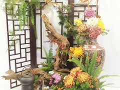 -上海共青森林公园