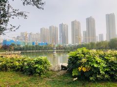 -木塔寺遗址生态公园