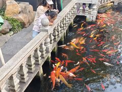 -汴河街