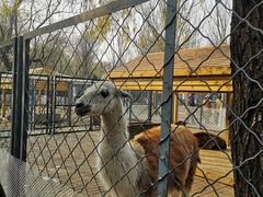 -长白岛森林公园