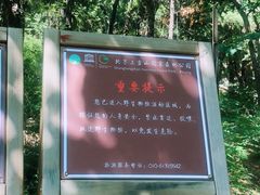 -北京上方山国家森林公园