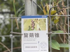 -马峦山郊野公园