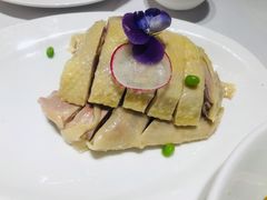 椒麻咸鸡-新吉士·上海菜(浦东LCM置汇旭辉店)